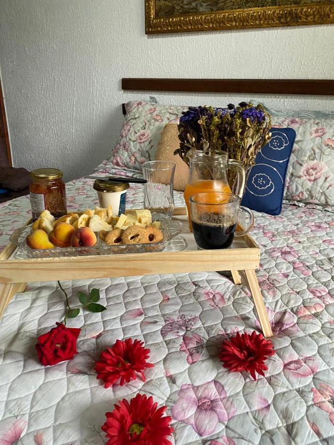 Hospedagem Recanto Das Orquideas 콰티스 외부 사진